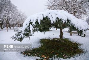 بارش برف در ارتفاعات استان سمنان؛ جاده‌های لغزنده می‌شود