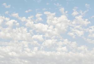 رنگ سال ۲۰۲۶ اعلام شد