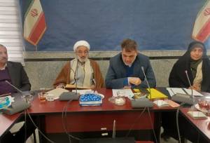 طرح‌های جدید حمایتی بانوان و مادران در مجلس در مسیر اجرا قرار گرفت