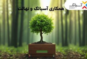 ۱۵ درصد تخفیف خرید نهال برای کاربران آسیاتک در هفته درختکاری