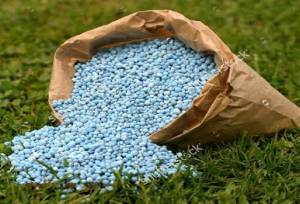 توزیع ۱۲ هزار و ۴۰۰ تن کود یارانه‌ای در خراسان جنوبی