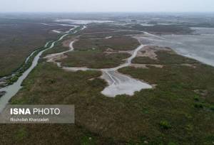 کاهش تراز آب و افزایش رسوبات زنگ خطر برای تالاب انزلی است
