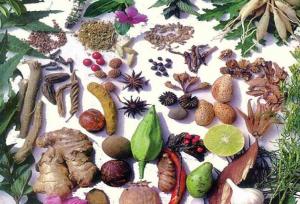 گیاهان دارویی که قاتل چربی خون بالا هستند