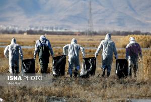 مقابله با آنفلوانزای پرندگان، مستلزم اجرای دقیق اصول امنیت زیستی است