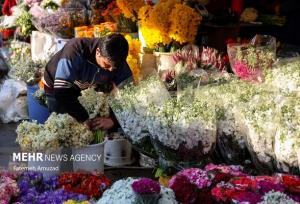 ایجاد ۷ هزار و ۲۴۰ هکتار فضای سبز در پایتخت