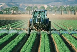 نجفی: اصلاح الگوی کشت تنها راه برون‌رفت از چالش‌های آب و خاک کشور است