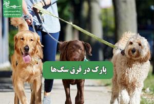 پارک در قرق سگ‌ها