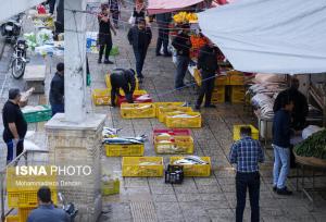 انتقال اصناف دروازه کازرون شیراز به بازار پروتئین نهایی شد/ افزایش تنفس اجاره بها به ۶ ماه
