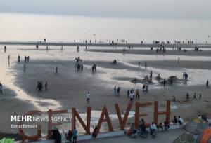 دستگاه قضایی به آلودگی در ساحل گناوه ورود کرد