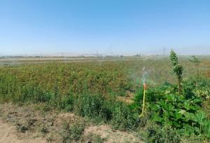 ۴۰ درصد اراضی کشاورزی ایران مجهز به آبیاری نوین است