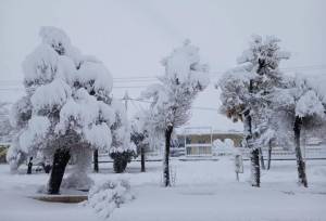 بیشترین بارندگی‌های لرستان در «شول‌آباد» ثبت شد؛ بارش ۲۰ سانتی‌متر برف