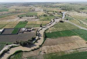 اخلاصی: ۱۰ هزار هکتار اراضی کشاورزی مرکزی به حوزه صنعت واگذار شد