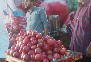 برگزاری آیین چهارمین دوره جشنواره ملی انار ساوه و اقوام ایرانی