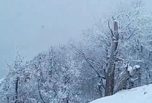 بارش سنگین برف در محور جواهرده رامسر