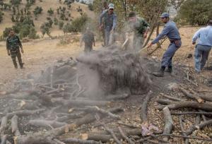 کشف و تخریب ۲ باب کوره زغال در جنگل‌های سوها