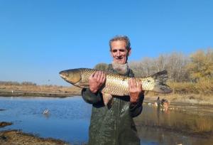 آغاز برداشت ماهیان گرمابی در پارس‌آباد