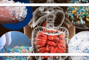 مرگ تدریجی با ریزپلاستیک‌ها