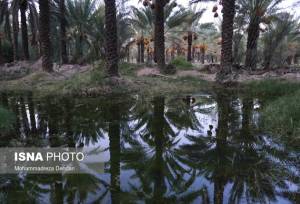 شبکه آبیاری دشتستان اولویت‌دارترین طرح آب‌وخاک کشور است