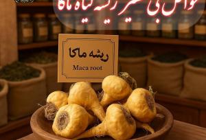 ریشه گیاه ماکا را از کجا تهیه کنیم و چه خواصی دارد؟