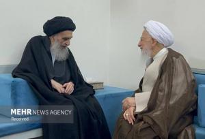 آیت الله جوادی آملی با آیت‌ الله  سیستانی در نجف اشرف دیدار کرد