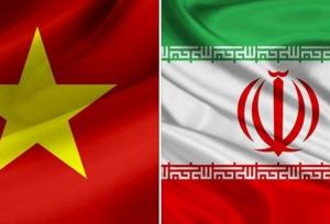 ایران و ویتنام در مسیر همکاری هدفمند