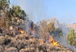 بالگردهای هوافراجا در عملیات اطفای حریق هیرکانی فعال هستند