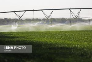 عضو کمیسیون کشاورزی مجلس: تنها ۲۴ درصد اراضی کشاورزی لرستان آبی است
