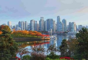 میزبانی آمریکا و کانادا از تیم ملی ایران/ خبری از سفر به مکزیک نیست