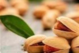 پسته ایران با استانداردهای جدید اتحادیه اروپا تطبیق می‌شود