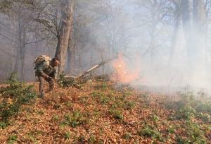 آماده‌باش تمامی نیروها برای مهار آتش‌سوزی جنگل‌ها در گلستان
