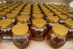 شاهی: مجوز صادرات ۱۴۰ تن عسل از خوانسار صادر شد