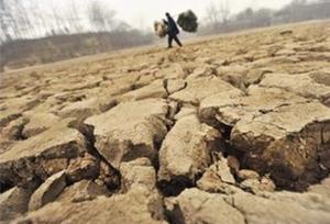 مدیر عامل بنیاد ملی گندم کاران کشور: خشکسالی گلستان الگوی کشت پاییزه را متوقف کرده است