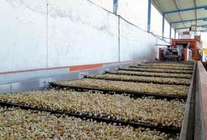 خراسان رضوی پیشتاز در توسعه صنایع تبدیلی و غذایی کشور