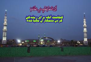 دعای امام رضا و راز شکل‌گیری حکومت امام زمان (عج)