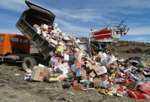 ۱۴.۵ تُن مواد غذایی فاسد در سنندج معدوم شد