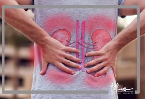 چکاپ منظم؛ راهکار طلایی پیشگیری از بیماری‌های کلیوی