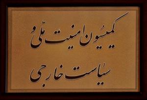 وزارت خارجه و سازمان انرژی اتمی به قانون مجلس پایبند باشند