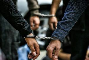 ۷ گروه متخلف شکار در تنها پارک ملی خراسان رضوی دستگیر شدند