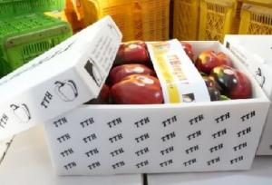 صادرات کشاورزی هرمزگان با رشد ۳۶ درصدی ارزشی به ۸۹۵ میلیون دلار رسید