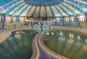 نجارقابل: سرعین میزبان رویداد بین‌المللی اسپا و گردشگری تندرستی می‌شود