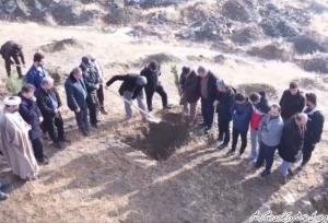 پویش ملی «درختی برای پدر، سبزی برای ایران» در سنندج برگزار شد