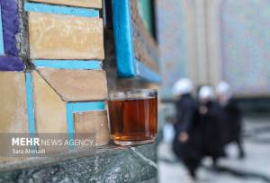 خدمت رسانی خادمیاران هرمزگانی در حرم رضوی