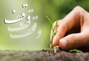 پویش وقف درخت در رفسنجان آغاز شد