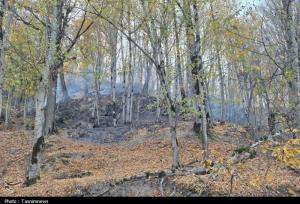 «نجات آب» ــ 52 | صیانت از پوشش گیاهی بالادست حوضه آبریز