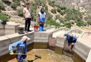 معدوم سازی دو کانون بیماری ویروسی نکروز لوزالمعده در شهرستان مارگون