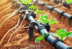 آبیاری قطره ای هوشمند؛ راهکار نجات بخش کشاورزان در سال های خشک