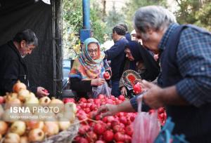 برپایی سومین جشنواره ملی انار و خرمالوی شیراز