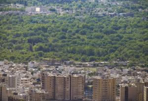 سیل ویرانگر تخریب باغات شیراز در طی سالیان گذشته