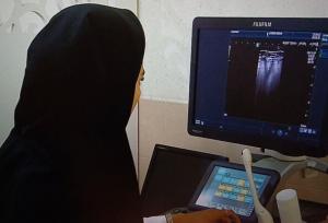 ژنتیک در بروز سرطان برست در خراسان شمالی نقش مهمی دارد