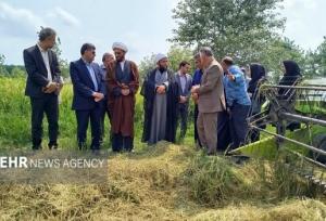 آستانه‌ اشرفیه با مدیریت منسجم از تنش آبی عبور کرد